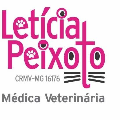 Veterinária em domicílio